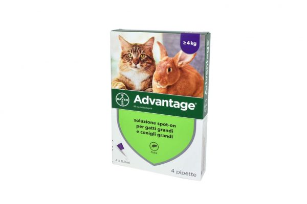 ADVANTAGE*spot-on soluz 4 pipette 0,8 ml 80 mg gatti e conigli grandi