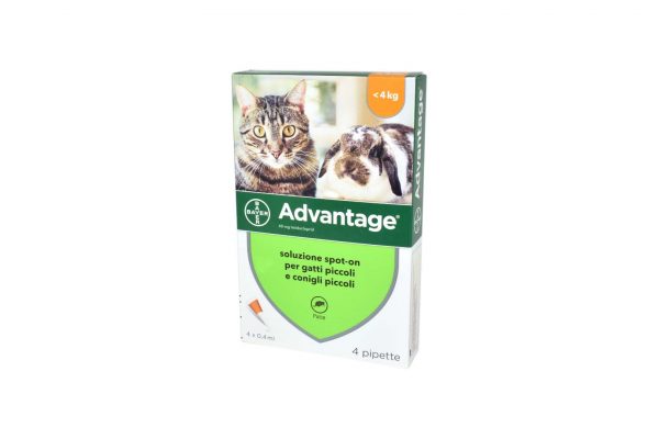 ADVANTAGE*spot-on soluz 4 pipette 0,4 ml 40 mg gatti e conigli piccoli